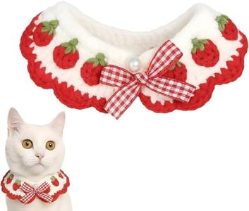 Cat Collar