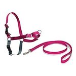 PetSafe Easy Walk Harness for Small