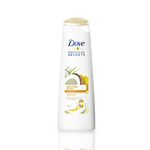 6 x Dove Shampoo - Restoring Ritual (with Coconut Oil) - for Damaged Hair - 250 ml