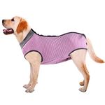 Lianzimau Dog Surgical Recovery Suit Onesie Breathable Abdominal Wounds and Protect Skin Prevent Licking Cone E Collar Alternative After Post-Operation Wear