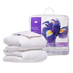 Canadian Down & Feather Co. - Regular Weight Canadian Hutterite Goose Down Duvet Queen Size - 400 TC Shell 100% Cotton - Made in Canada