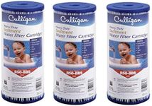 Culligan R