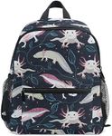 CHIFIGNO Kids Backpacks School Back