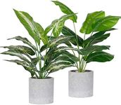 Der Rose 2 Pack Fake Plants Artific