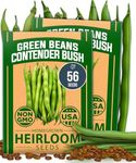 HOME GROWN Contender Bush Bean Seeds - 56 Seeds - USA Sourced, Non-GMO, Heirloom Green Beans Seeds - Bush Bean Seeds for Planting - Vegetable Seeds as Emergency Food Supply (Phaseolus vulgaris)