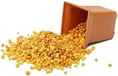 Osmocote 'Exact' - Professional Slow Release Plant Fertiliser - 12-14 Months of Nutrients - Ideal for all Plants (250 Gram)