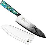 Damascus Chef Knife, 8.25" - 21 cm, AUS-10 Steel, Clear Resin Handle - Leather Sheath Included