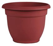 Bloem AP0813 Ariana Self Watering Planter 8" Burnt Red, 8"