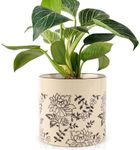 STHIE Indoor Ceramic Plant Pots wit