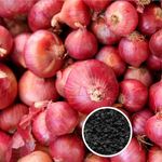 SIVON Onion (Pyaz) 1200 + Vegetable Seeds for Home Garden, Organic & Hybrid, Perfect for Home Gardening, Planting For Pots and Patio