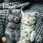 2025 Kittens Monthly Wall Calendar by Bright Day, 12 x 12 Inch