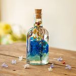 myBageecha- A Big Splash Preserved Tabletop Natural Long Lasting Beautiful Real Flower Home Interior Decor Desk Mini Garden Decoration Herbarium Eco-Friendly Gift Glass Blue 17.5cm x 7cm