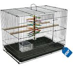 Rixy Metal Bird Cage - 18 inch (1.5 feet) (Colour May Vary) | Habitat Cage with Free Hanging Toy (1) + Perches (2) + Food & Water Feeder Cups (2) for Budgies, Lovebirds, Finches, Cockatiels & Parrots