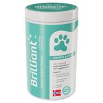 Brilliant Gut Health Protein Powder - Natural, High Protein Dog Gut Supplements - Digestive Health Dog Food Toppers. Salmon Protein and Collagen Dog Supplements with Probiotic Effects (300g)