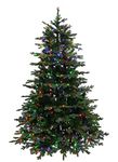 7 Foot European Balsam Fir Artificial Christmas Tree Pre-lit with Dual Color Led Lights. (7ft Pre-lit)