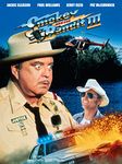 Smokey and the Bandit III