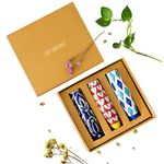 Lazy Gardener Ceramic Magnetic Planter Gift Box Trio – 3 Pieces for Perfect Diwali, New Year, or Home Décor for Kitchen Decorations