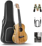 Caramel 26inch CT103 Zebrawood High