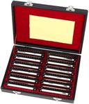 Swan Harmonica 10 Hole Blues Harmon