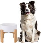 Raised Ceramic Large Dog Bowl - Heavy Weighted Dog Dish with Bamboo Stand - Elevated for Comfortable Feeding - 8.3" W x 8" H - 4.5 Cups (68 fl oz) - White