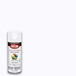 Krylon K05545007 COLORmaxx Spray Pa