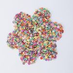 HOCIBES 5000PCS Polymer Clay Slices ,Cute Fimo Slices ,3D Polymer Clay Nail Art Decoration Slices , Flower Slices for Nail Art ,Slime Add Ins Decoration and Diy Craft (Flower)