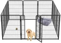 fxw Homeplus Unleashed Indoor Dog P