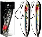 Gourami Catfish Float Rigs Demon Dragon Catfishing Lure Rattling Santee rig Tackle (Black Shiner-2pcs)