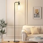 Ziisee Industrial Floor Lamp with Glass Shade - Black, LED Bulbs, Foot Pedal Switch, Easy Assembly