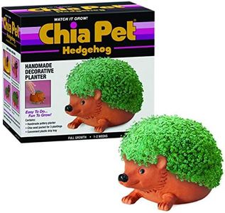 Chia Pet H