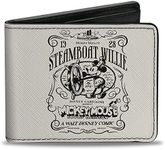 Disney Wallet, Bifold, Disney 100 M