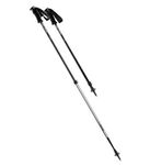 Easton Trekking Pole