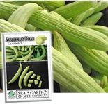 Armenian Pale Green Cucumber Seeds for Planting, 100+ Heirloom Seeds Per Packet, (Isla's Garden Seeds), Non GMO Seeds, Botanical Name: Cucumis sativus, Great Home Garden Gift