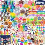 300 PCS Party Favor for Kids Goodie