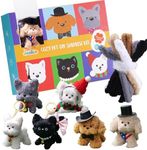 JMMICO 71-Piece Pipe Cleaner Craft 