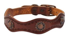 Weaver Leather Sundance Dog Collar, 1 x 19-Inch, Brown