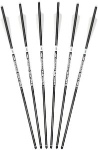 BALLISTA Piercer 20" 2-Vane Crossbow Bolts for MEGABAT, 6 Pack