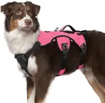 rabbitgoo Escape Proof Dog Harness,