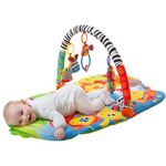 Playgro Baby Gyms