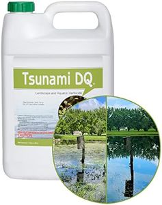Tsunami DQ