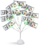 MEIN SCHATZ Money Tree Gift Card Holder with 10 Clips & LED Lighted Tips - White Money Tree Gift Holder for Cash - Ideal Present for Wedding, Birthday, Easter & Christmas - Photo & Gift Card Tree