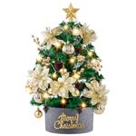 Winthai Mini Christmas Tree 60cm, Small Christmas Trees with Lights and Rich Golden Ornaments, 2FT Prelit Artificial Tabletop Christmas Tree for Xmas, Home, Kitchen, Dining Table Decor.