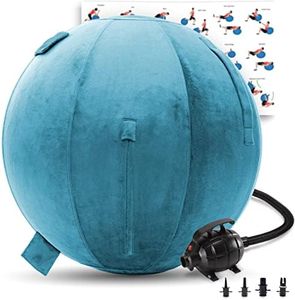 Exercise Ball 65cm/26in, Teal Mirco Plush Soft Cover with Electric Quick Pump For Yoga, Pilates, Fitness Balance Stability, Office Ball Chair Seat. Soft & Slip Resistant, Pro Guide