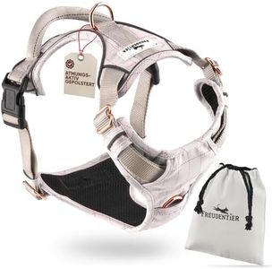 FREUDENTIER Hundegeschirr mit komfortabler Mesh-Polsterung - Inkl. Geschenksäckchen - Bombenfester Sitz - Anti-Zug Brustgeschirr für große, mittelgroße und kleine Hunde (L)