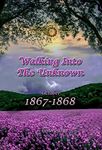 Walking Into The Unknown (# 10 in the Bregdan Chronicles Historical Fiction Romance Series)