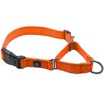 Max and Neo Nylon Martingale Collar - We Donate a Collar to a Dog Rescue for Every Collar Sold (Large, Orange)
