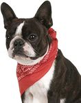 Qraftsy Paisley Cotton Pack of 6 Dog Bandana Triangle Shape - Fits Most Pets (Red)