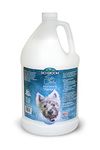 Bio-Groom So-Dirty Deep Cleansing Shampoo for Dogs & Cats | 3.8 L | Soap-Free Formula with Aloe Vera & Wheat Germ Oil | Removes Odor, Dirt & Strengthens Coat Naturally
