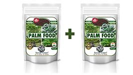 Palm Tree Fertilizers