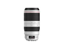 Canon EF 100-400mm f/4.5-5.6L is II USM Lens